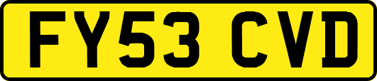 FY53CVD