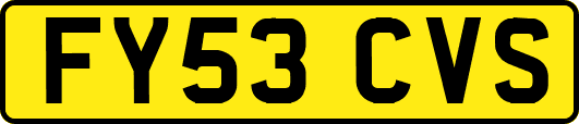 FY53CVS