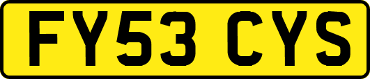 FY53CYS