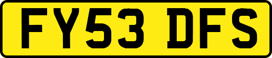 FY53DFS