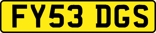 FY53DGS