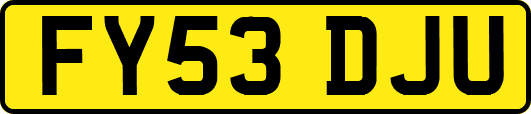 FY53DJU
