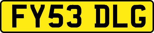 FY53DLG