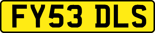 FY53DLS