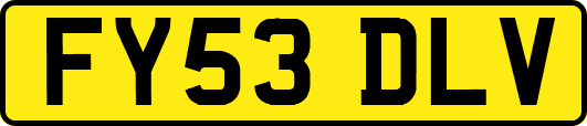 FY53DLV