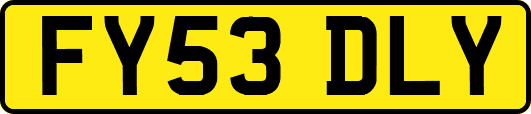FY53DLY