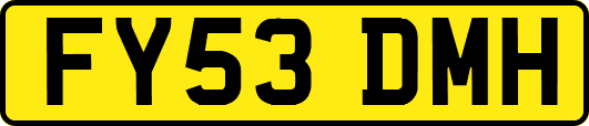 FY53DMH