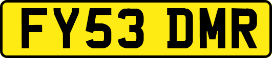FY53DMR