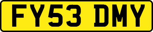 FY53DMY