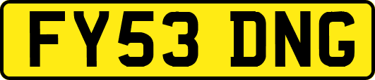 FY53DNG