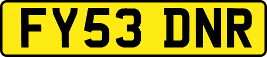 FY53DNR