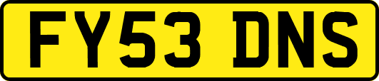 FY53DNS