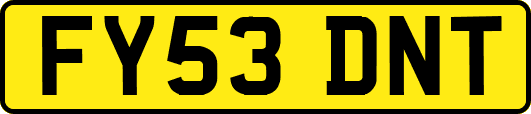 FY53DNT