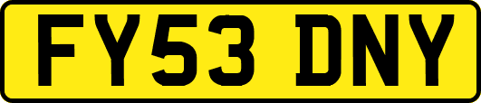 FY53DNY