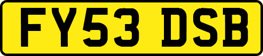 FY53DSB