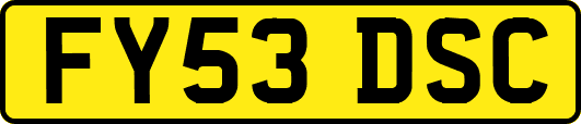 FY53DSC