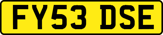 FY53DSE