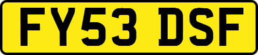 FY53DSF
