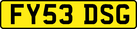 FY53DSG