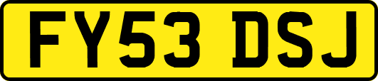 FY53DSJ