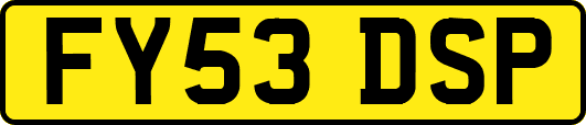 FY53DSP