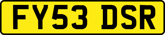 FY53DSR