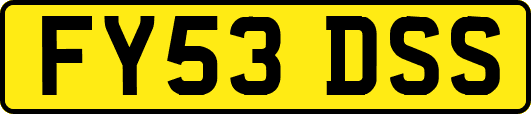 FY53DSS
