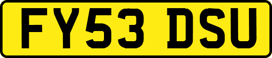 FY53DSU