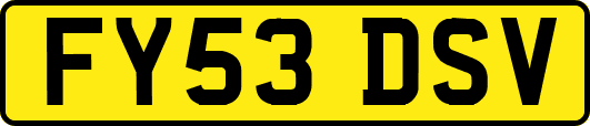 FY53DSV