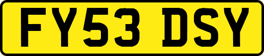 FY53DSY
