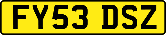 FY53DSZ