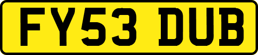FY53DUB