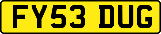 FY53DUG