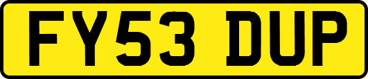 FY53DUP