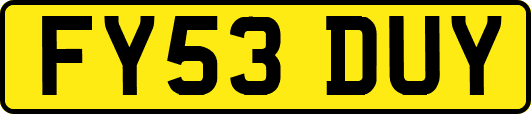 FY53DUY
