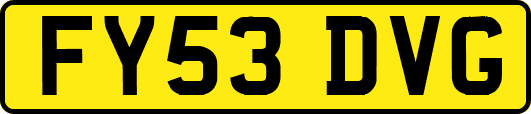 FY53DVG