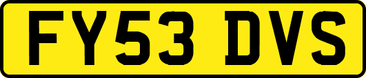 FY53DVS