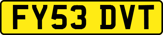 FY53DVT
