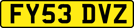 FY53DVZ