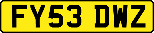 FY53DWZ