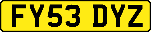 FY53DYZ