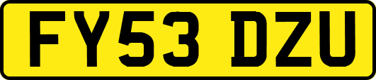 FY53DZU