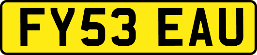 FY53EAU