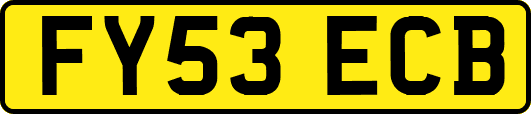 FY53ECB