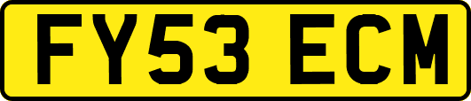 FY53ECM