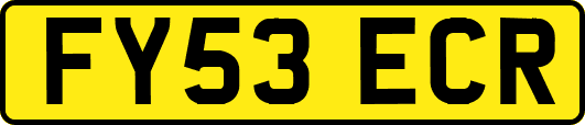 FY53ECR