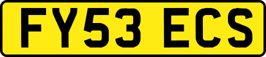 FY53ECS