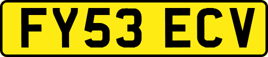 FY53ECV