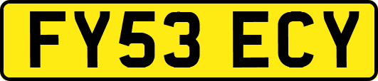 FY53ECY