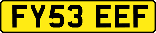 FY53EEF